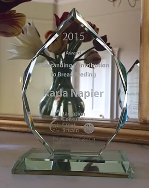 Image of Outstanding Contribution to Breastfeeding